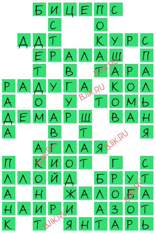 сканворд 17104