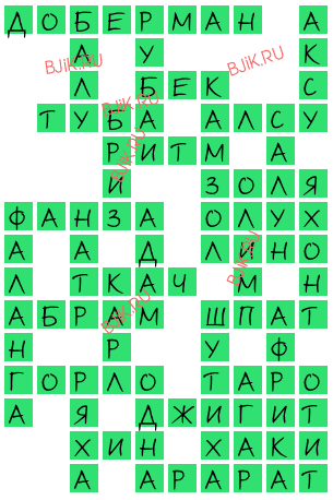сканворд 17105
