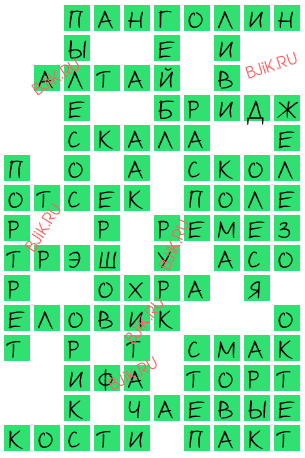 сканворд 17146