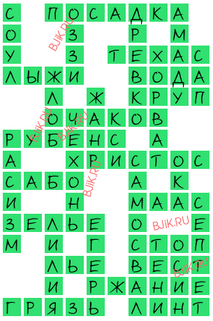 сканворд 17158