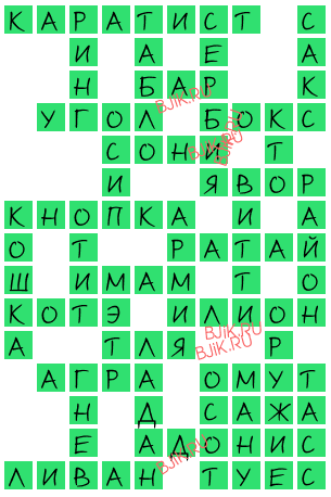 сканворд 17281