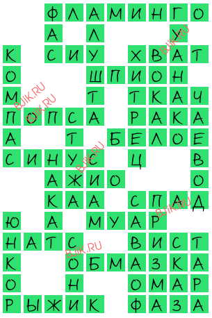 сканворд 17293