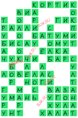 сканворд 17335
