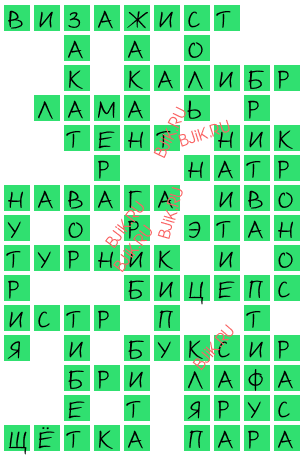 сканворд 17354