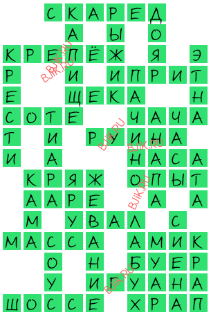 сканворд 17448