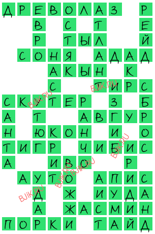 сканворд 17541