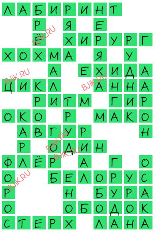 сканворд 17638