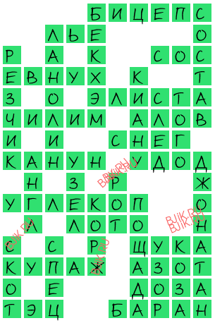 сканворд 17760