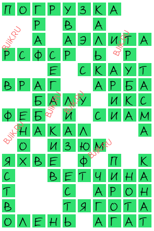 сканворд 17803