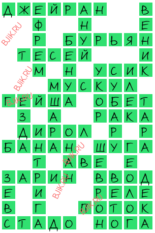 сканворд 17831