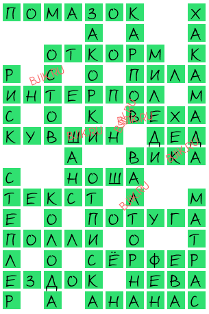 сканворд 17982