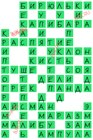 сканворд 18144