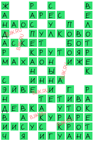 сканворд 18169