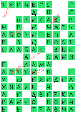 сканворд 18262