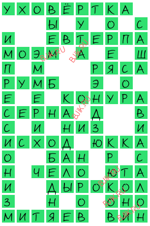 сканворд 18371