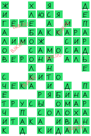 сканворд 18374