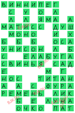 сканворд 18455