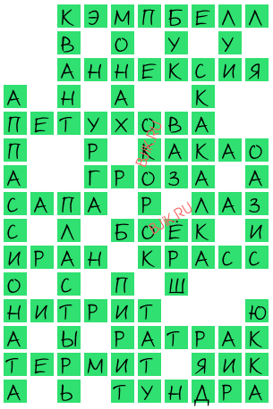 сканворд 18569