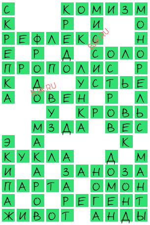 сканворд 18593