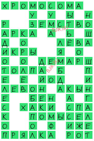 сканворд 18696