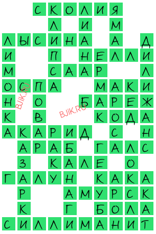 сканворд 18958