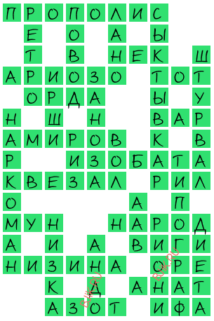 сканворд 19019