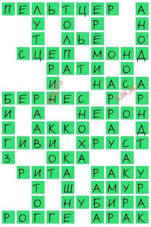 сканворд 19042