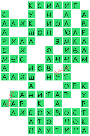 сканворд 19060