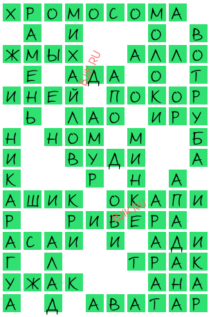 сканворд 19118