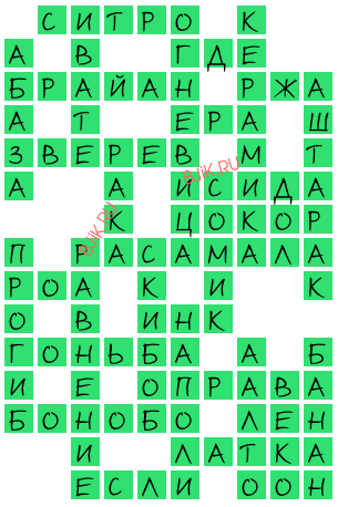 сканворд 19172