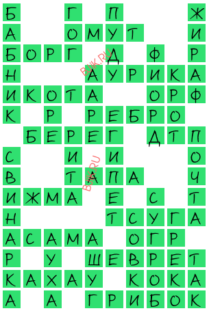 сканворд 19262