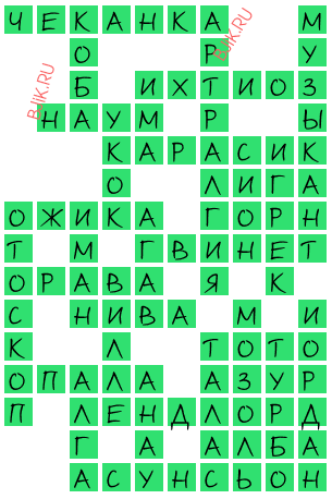 сканворд 19503