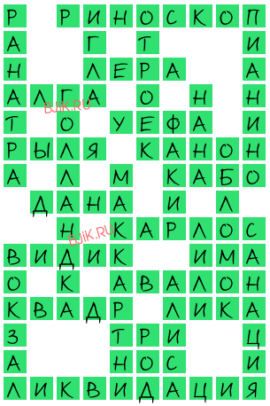 сканворд 19504