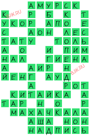 сканворд 19621