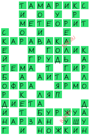 сканворд 19667