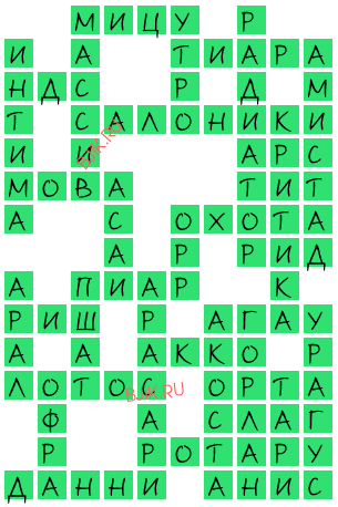 сканворд 19681