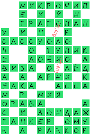 сканворд 19703