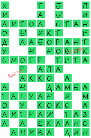 сканворд 19804