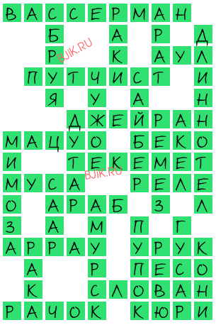 сканворд 19805