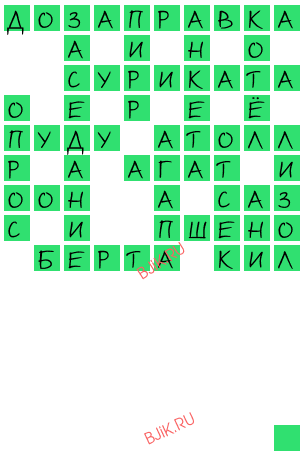 сканворд 19867