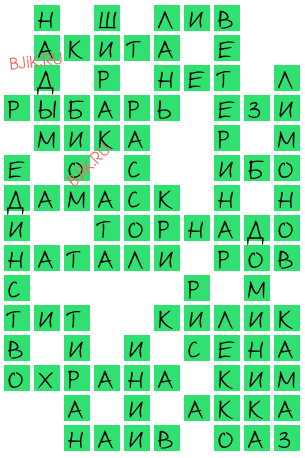 сканворд 19898