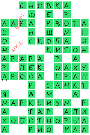 сканворд 19955