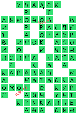 сканворд 19991