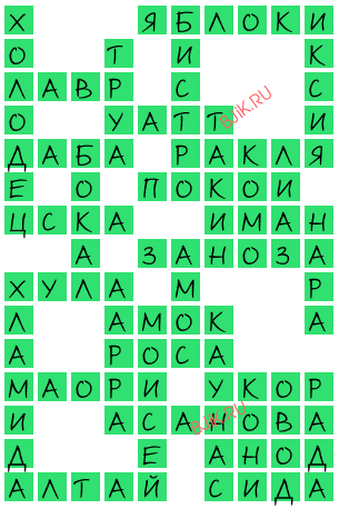 сканворд 20005