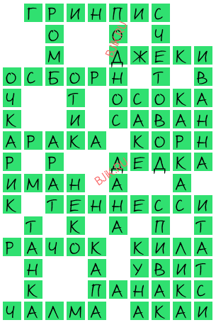 сканворд 20052