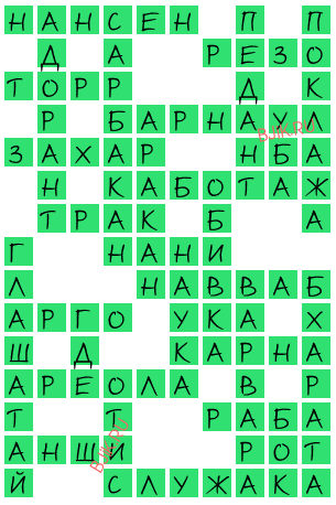 сканворд 20069