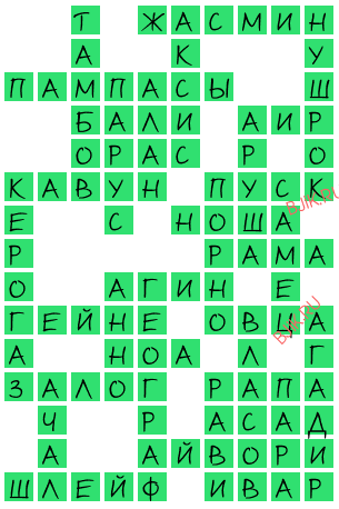 сканворд 20188