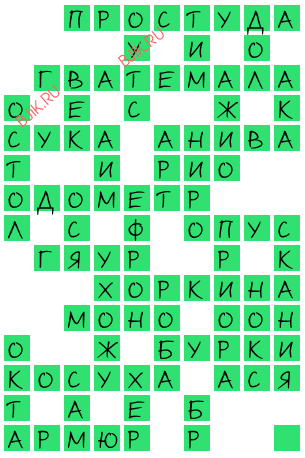 сканворд 20202