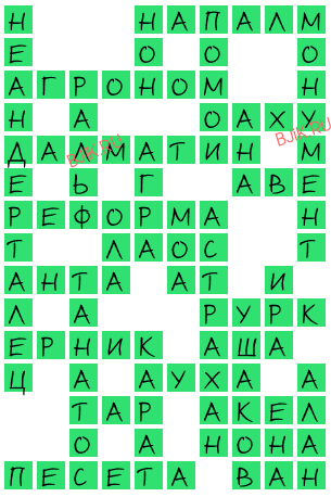 сканворд 20214