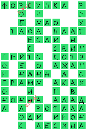 сканворд 20221